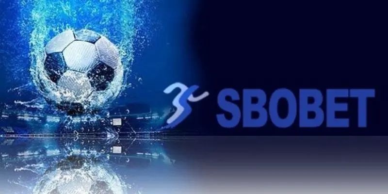 Những ưu điểm nổi bật của nền tảng SBOBET Suncity