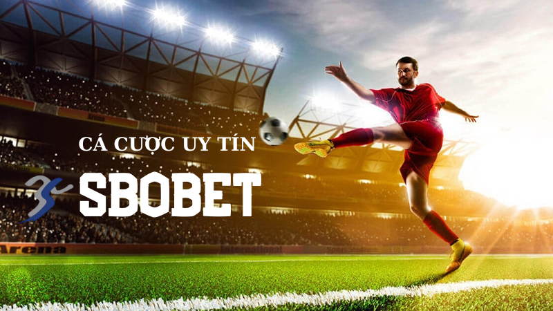 Nền tảng SBOBET Suncity là gì?